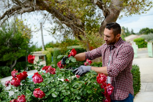 Gardener wearing protective gloves and inspecting a garden site