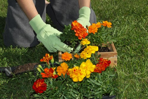 Eco-friendly hedge trimming tools and composting
