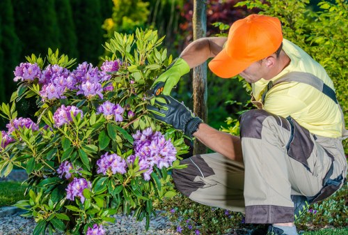 Gardener using the Gardener Bow tool in the garden