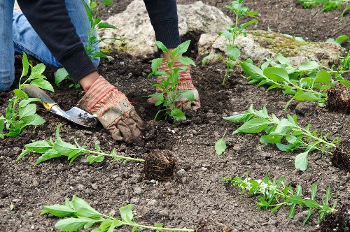Gardener Bow's ergonomic design for comfortable use
